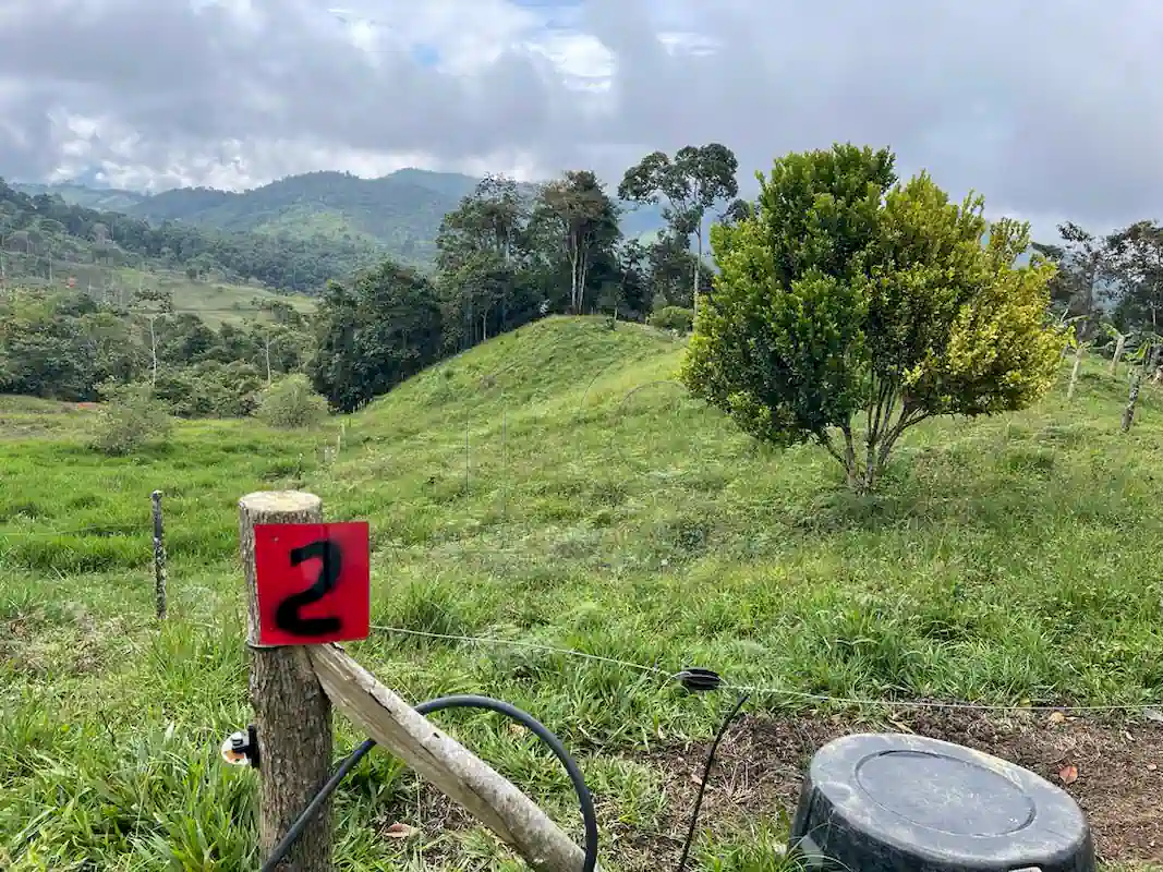 Finca Alto Gaviota